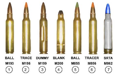 Wild game hunt: Ammunition Types and Characteristics