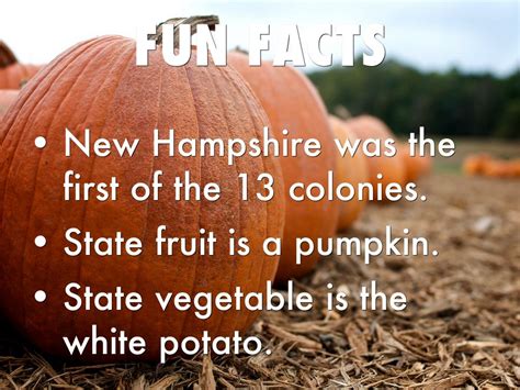 Fun Facts About New Hampshire