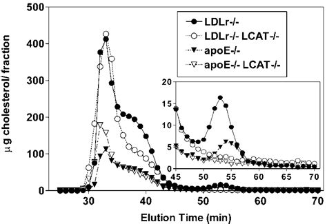 Fplc Cholesterol Elution Profiles Of Whole Plasma From Mice Of The Download Scientific Diagram