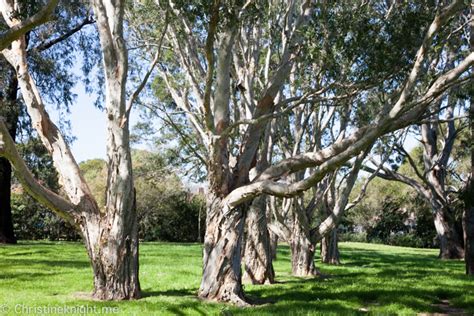 Sydney Day Trips: Wollongong Botanic Garden - Adventure, baby!