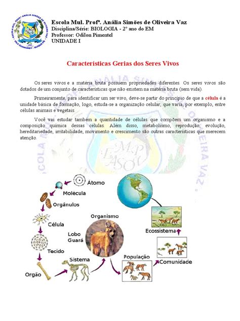 Caracteristicas Dos Seres Vivos - Caracteristicas Gerais Dos Seres Vivos - I Unidade | PDF | Organismos ...