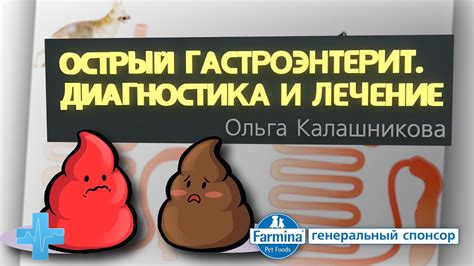 Острый гастроэнтерит. Диагностика и лечение - YouTube