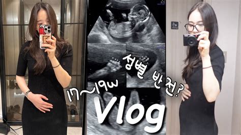 Vlog 🤰임신 17~19주차 나에게도 성별 반전이 임신 주수 촬영 원피스 추천 임산부 영양제 젠틀몬스터 뿔테