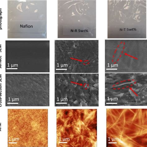 Photographs SEM Surface And Cross Section And AFM Topographic Images