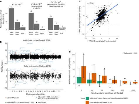 Twas And Tissue Enrichment Of The Eur Canud Gwas Variants A Number Of