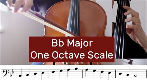 How To Play B Flat Major Scale On Cello One Octave YouTube