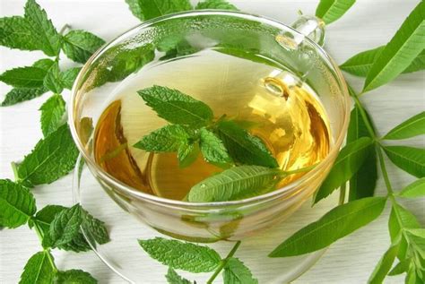 Les Bienfaits Dune Infusion Verveine Menthe Le Soir