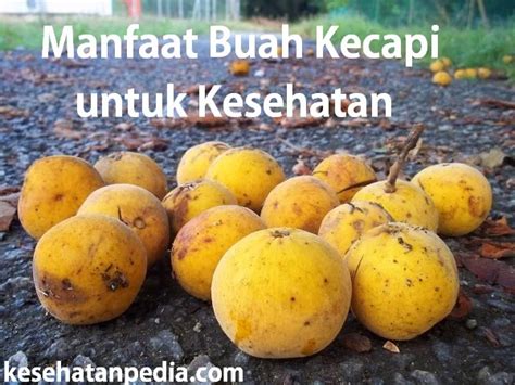 Manfaat Buah Kecapi atau Sentul untuk Kesehatan - kesehatanpedia