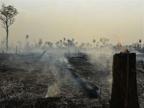 Amazon deforestation and fires are a hazard to public health