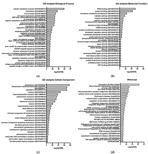 Gene Ontology Go Enrichment Analysis In C92 Evsec Top 25 Ontology