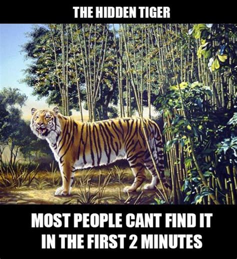 Can You Find The Hidden Tiger
