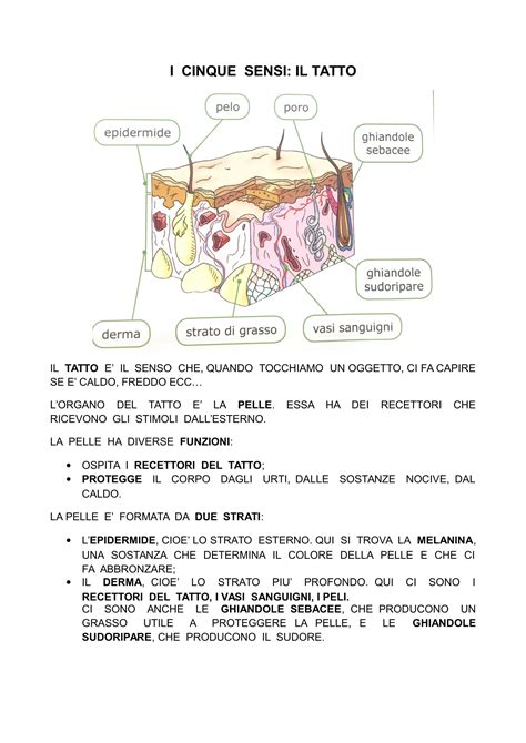 I Cinque Sensi Il Tatto Blog Di Maestra Mile