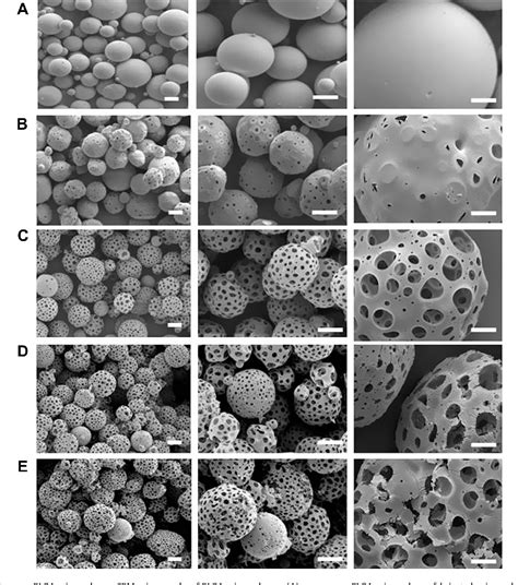 Figure 1 From Injectable And Porous Plga Microspheres That Form Highly Porous Scaffolds At Body