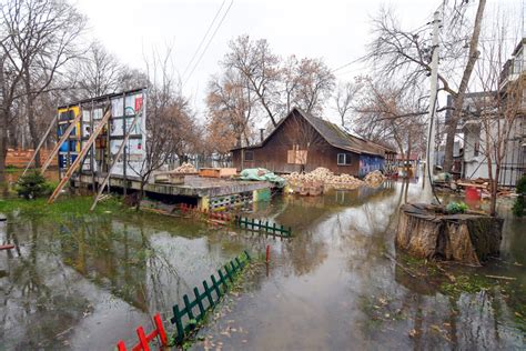 FOTO Visok Vodostaj Dunava Kod Novog Sada Reka Se Izlila I Potopila