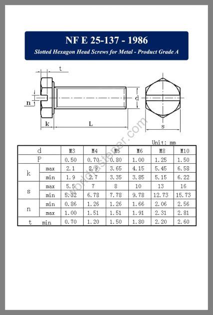 NF E25 137 Slotted Hexagon Head Screws Fasteners Bolt Nut Screw