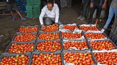 Tomato Price Hike Tomatoes Selling At Rs 250 Per Kg In This State Details Inside