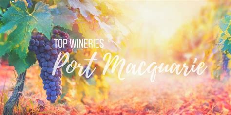 Top Wineries in the Port Macquarie Region | Winery, Wine lovers, Wine ...