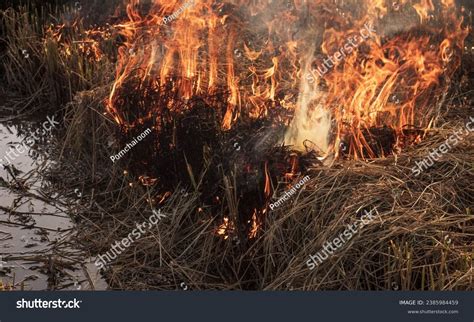 Incineration Causes Air Pollution Global Warming Stock Photo 2385984459 ...