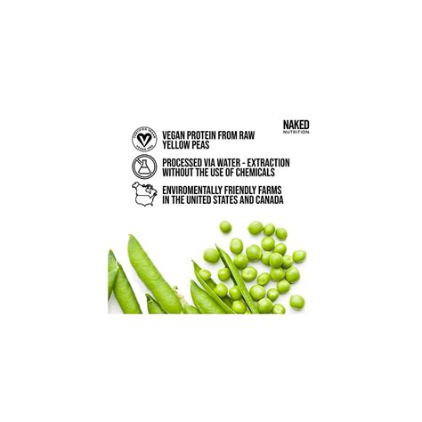 Naked Vegan Sample Pack Pea Chocolate Pea And Vanilla Pea Insect