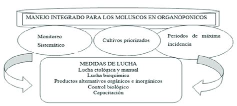 Esquema del manejo integrado para los moluscos en los organopónicos