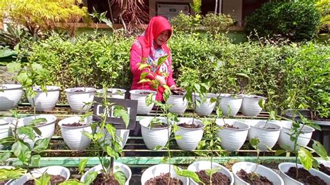 Sekolah SD Islam Hidayatullah Semarang Masuk 10 Besar Lomba Urban