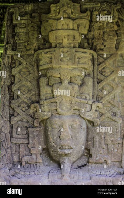 Detail of a stele Quiriguá Archaeological Park and Ruins Guatemala