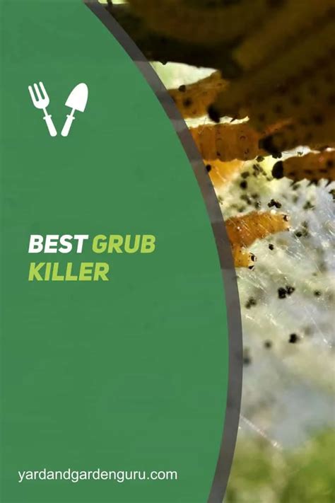 Best Grub Killer In 2023