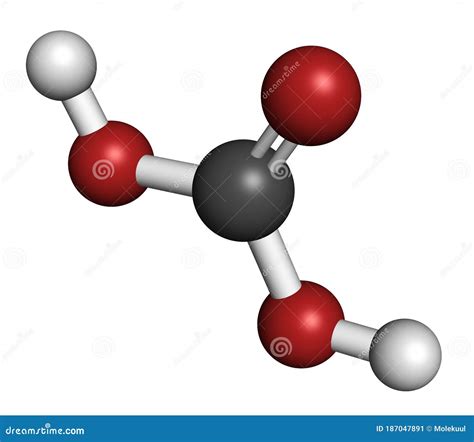 Mol Cula De Cido Carb Nico Se Forma Cuando Se Disuelve Di Xido De