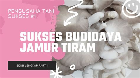 Sukses Budidaya Jamur Tiram Penjelasan Lengkap Dari Kandungan Nutrisi