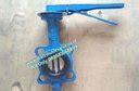 Jual Butterfly Valve Cast Iron Body Disc DI Lever 3 Inch Tozen Di Lapak