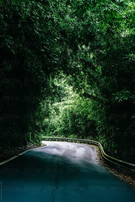 "Driving The Hana Highway" by Stocksy Contributor "Jen Grantham" - Stocksy