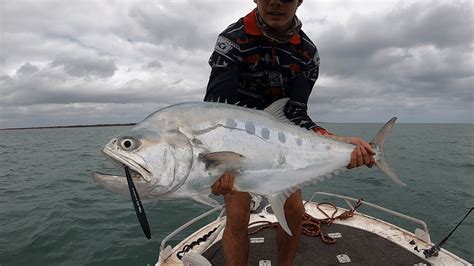 Best Tuna And Huge Queenfish Fishing Ive Ever Seen TOPWATER MADNESS