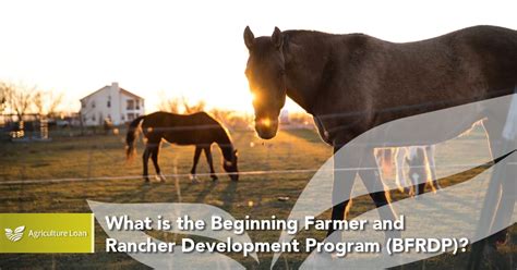 Beginning Farmer And Rancher Development Program