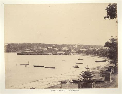 Manly In The Northern Beaches Region Of Sydney In 1886 Aerial View