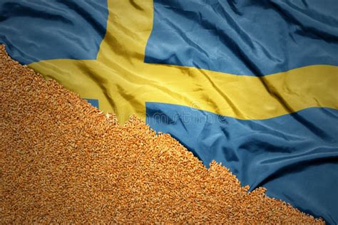 Wheat Grain On The Waving Colorful National Flag Of Sweden Macro Shot