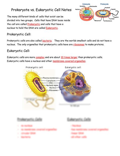 SOLUTION Prokaryotic Vs Eukaryotic Cell Notes Studypool