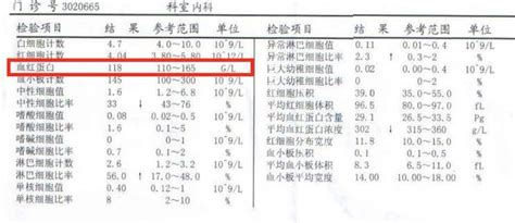 如何看懂血常规报告 每日头条