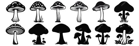 Premium Vector Mushroom Silhouettes Set Large Pack Of Vector