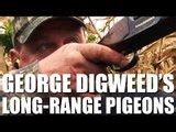 Fieldsports Britain George Digweed S Pigeon Shooting Tips Video