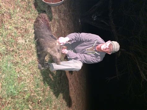 Circle T Hunting Ranch - Wild Game Hunting in South Texas