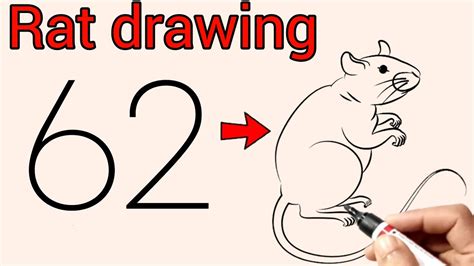 How To Draw A Rat Easy With Numbers Rat Drawing Tutorial Step By Step