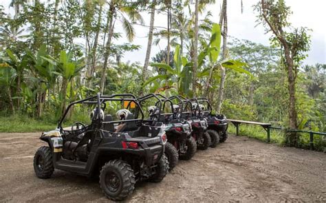 Bali Atv Mason Jungle Buggy Avontuur Met Lunch Transfer Getyourguide