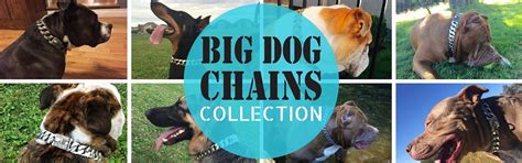 BIG DOG CHAINS | Official Website Launch – BIG DOG CHAINS