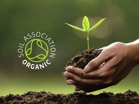 Zendbox Awarded Organic Certification By The Soil Association Zendbox