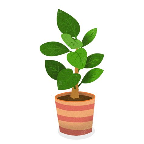 Plantas En Macetas Png Planta Maceta Hoja Verde Png Y Psd Para Porn