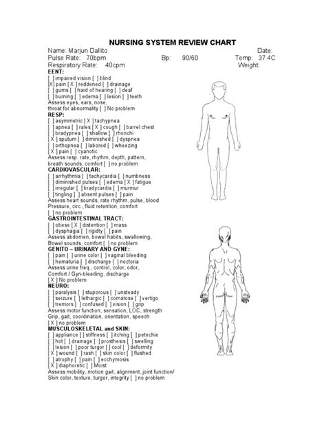 Nursing System Chart Pdf