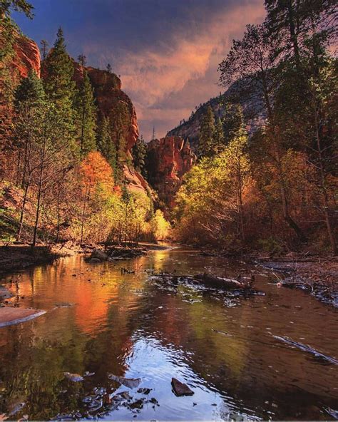 A River Flowing Through A Forest Filled With Trees Under A Colorful Sky At Sunset Or Sunrise