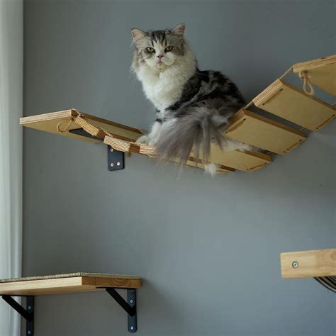 FUKUMARU Cat Bridge Wall Mounted, 12.8 in Wider Cat Shelf and Cat Climbing Step for DIY Cat ...