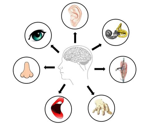 Sophrologie et sensorialité Hypnothérapeute Nice Sophrologue Nice