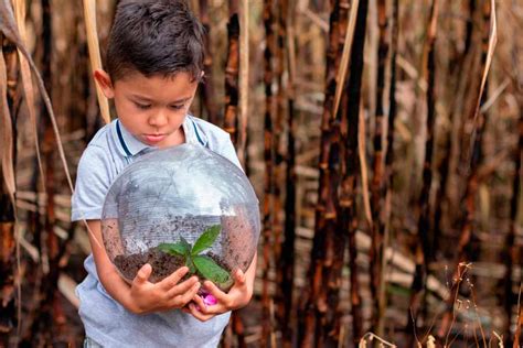 Desarrollo De La Primera Infancia Exponen Retos Ante Cambio Climático Tecnológico De Monterrey